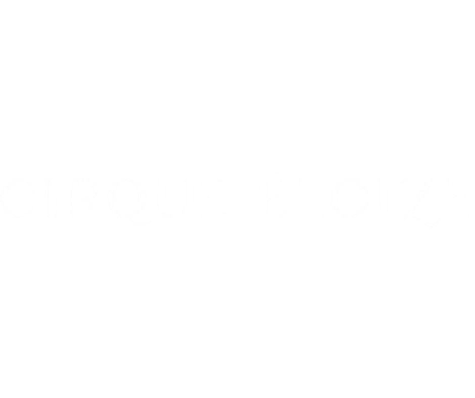 cirque eloize